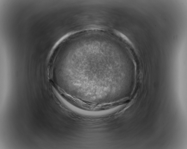 X0000085241310200703301739