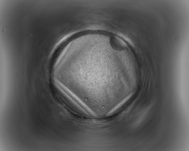 X0000085241311200703301739