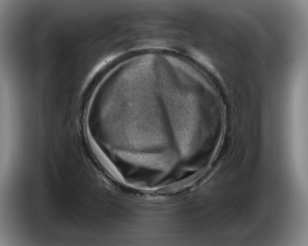 X0000085241312200703301739
