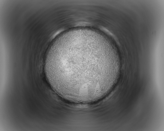 X0000085241313200703301739
