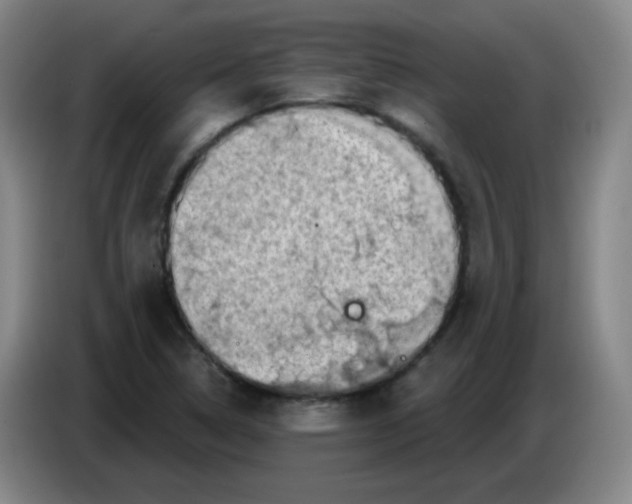X0000085241314200703301739