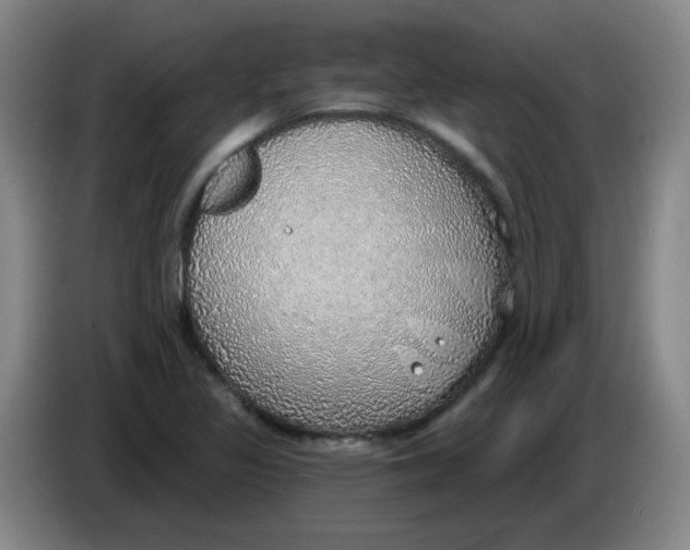 X0000085241317200703301739