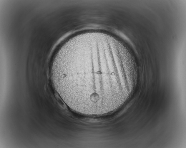 X0000085241318200703301739