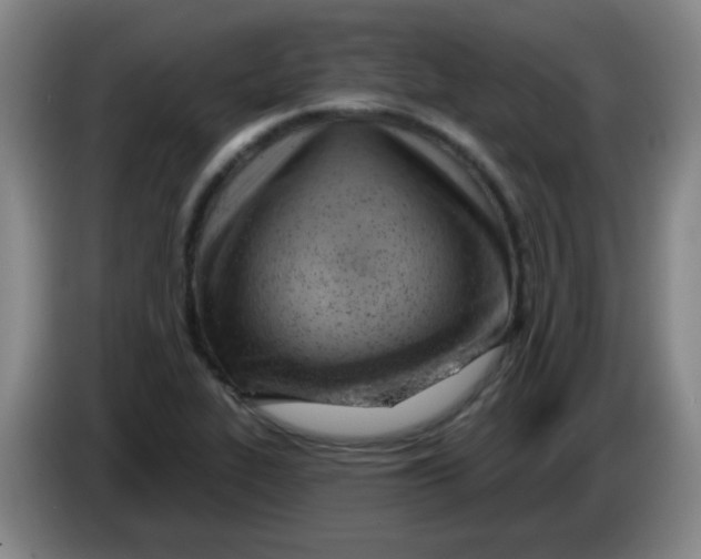 X0000085241319200703301739