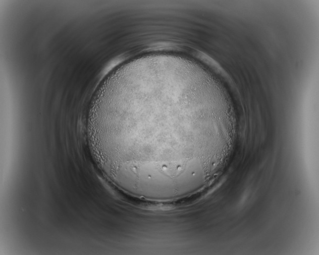 X0000085241321200703301739