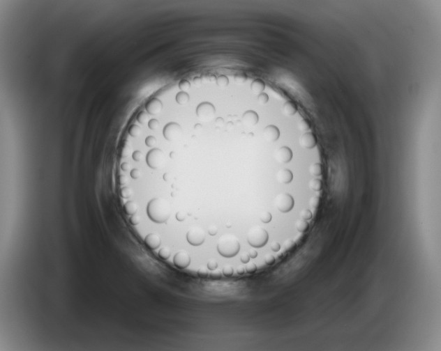 X0000085241322200703301739