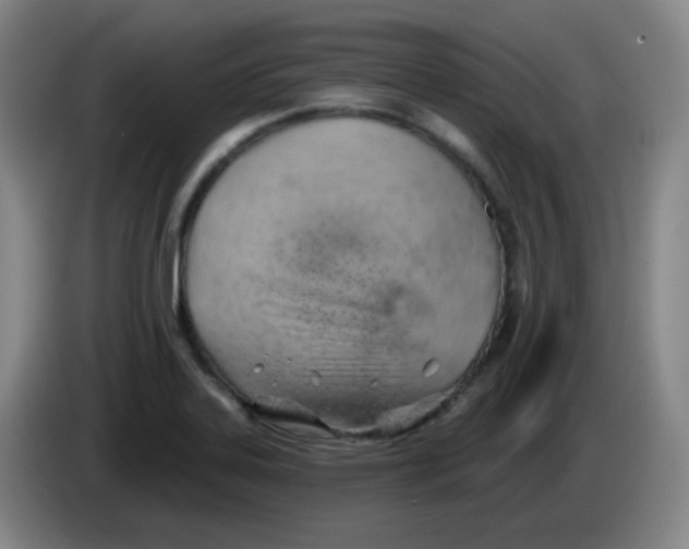 X0000085241323200703301739