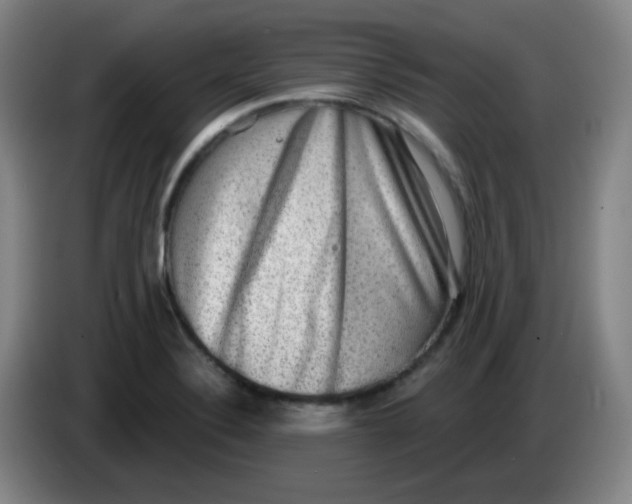 X0000085241324200703301739
