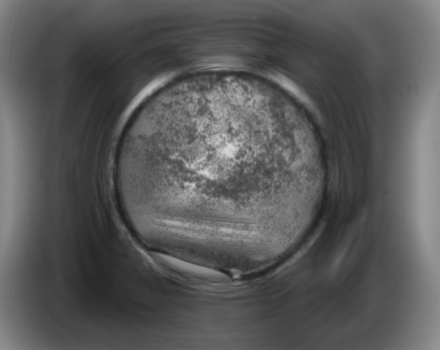 X0000085241325200703301739