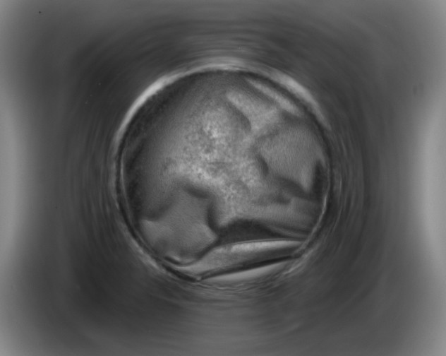 X0000085241326200703301739