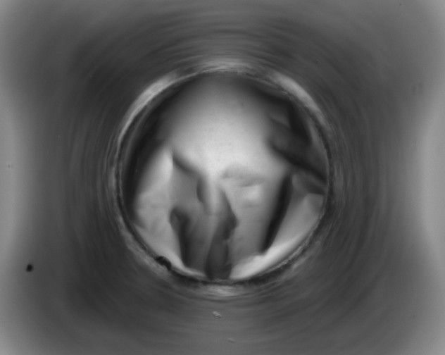 X0000085241330200703301739