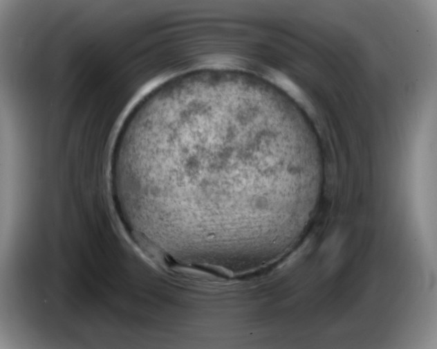 X0000085241331200703301739