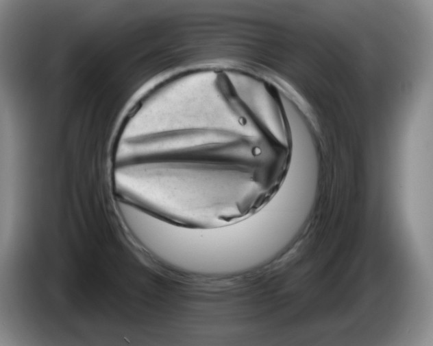 X0000085241332200703301739