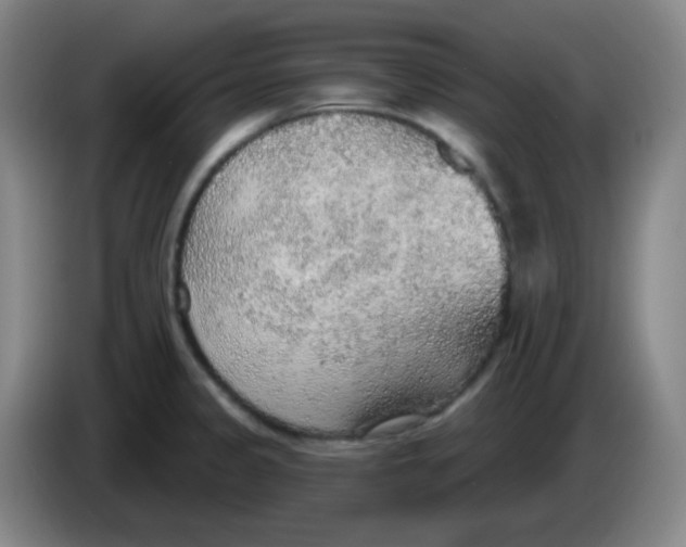 X0000085241333200703301739