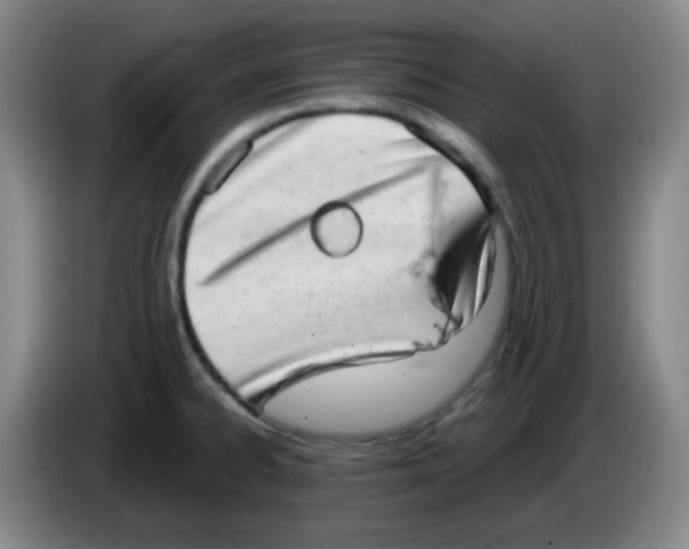 X0000085241334200703301739