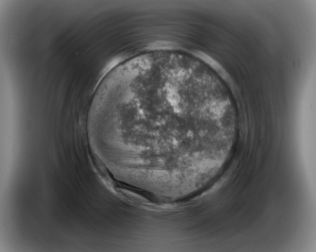 X0000085241337200703301739
