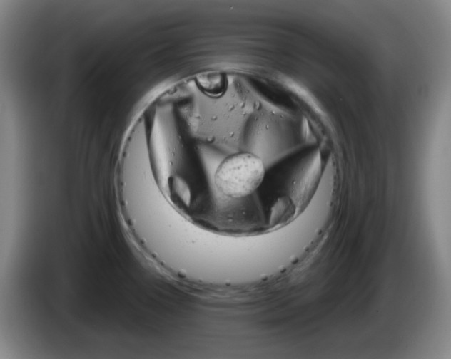 X0000085241338200703301739