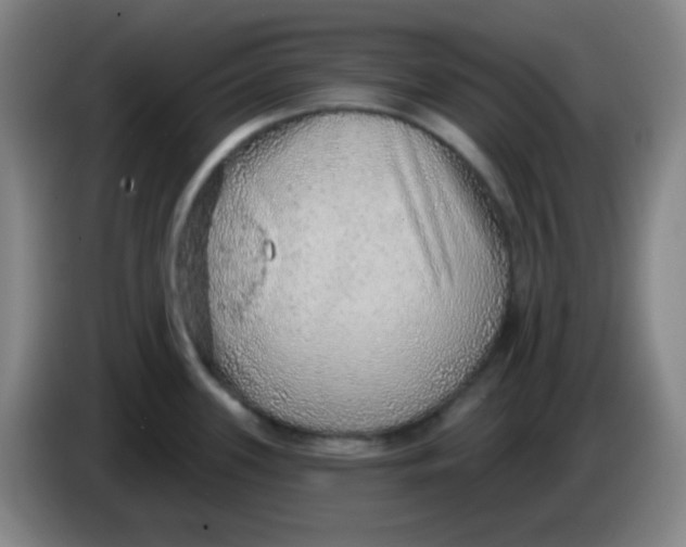 X0000085241339200703301739