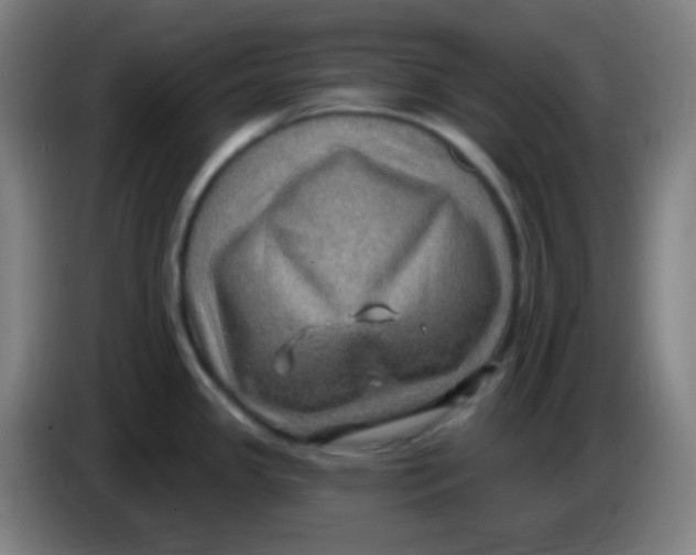 X0000085241341200703301739