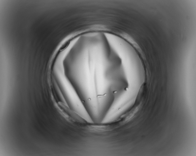 X0000085241342200703301739