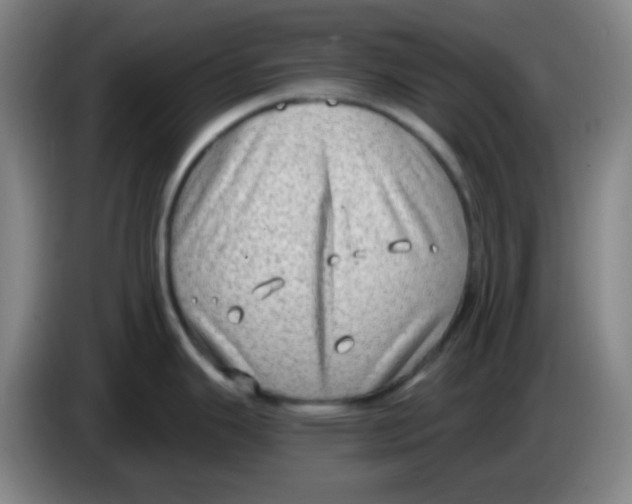 X0000085241343200703301739
