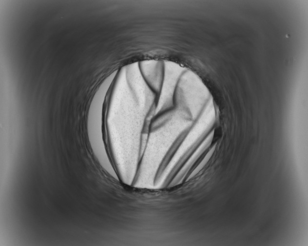 X0000085241345200703301738