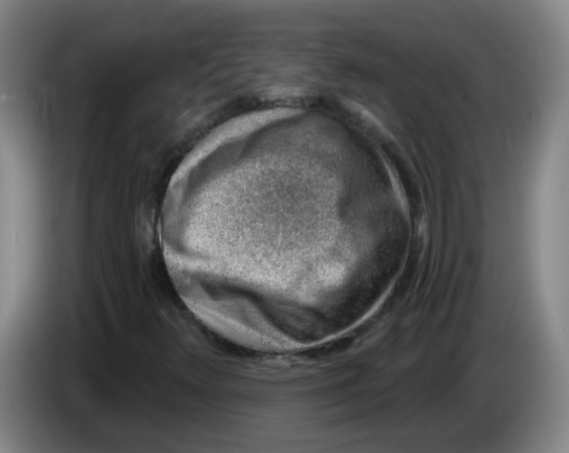 X0000085241348200703301738