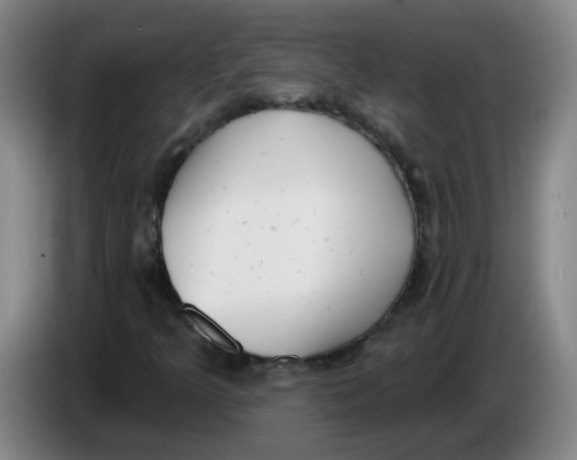 X0000085241349200703301738