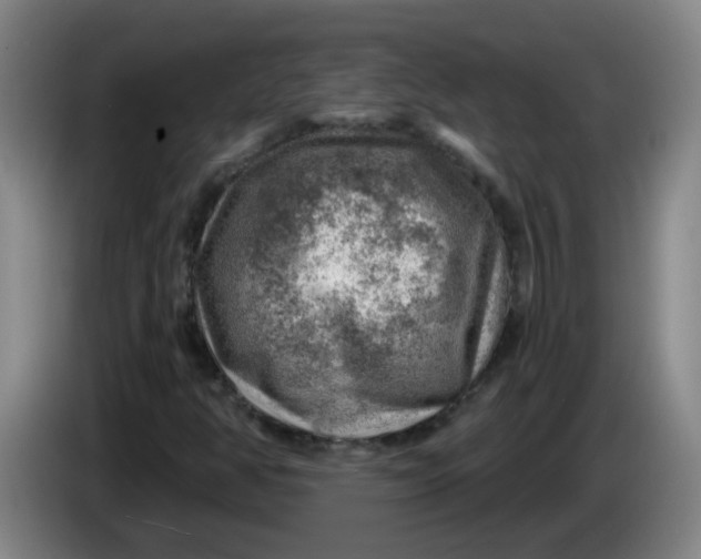 X0000085241350200703301738