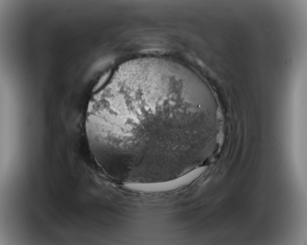 X0000085241351200703301738