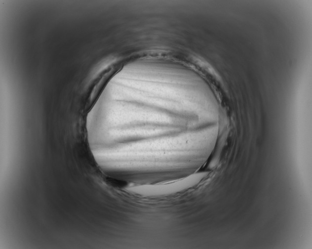 X0000085241352200703301738
