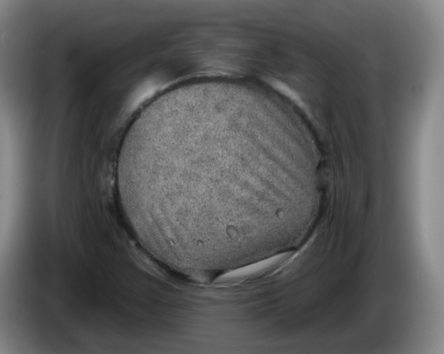 X0000085241355200703301738