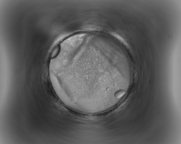 X0000085241358200703301738