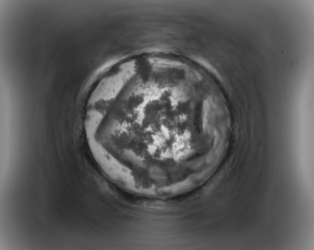 X0000085241359200703301738
