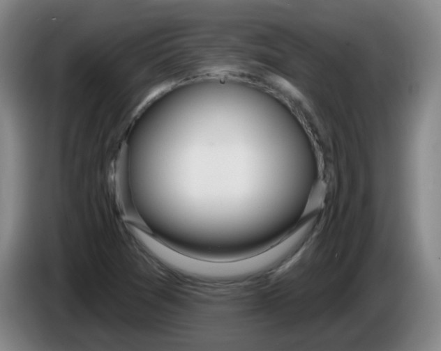 X0000085241361200703301738