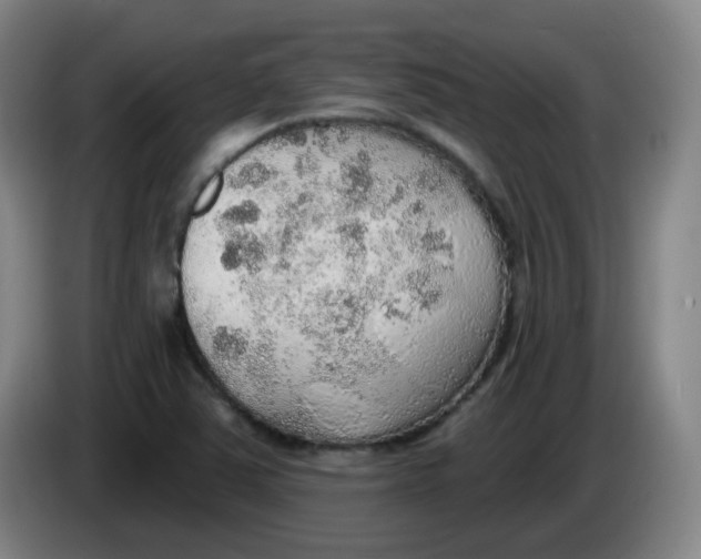 X0000085241363200703301738
