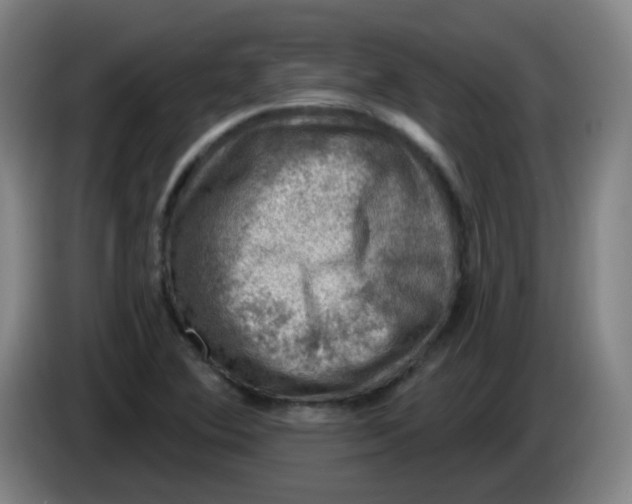 X0000085241364200703301738