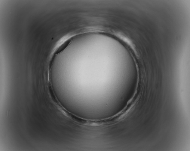 X0000085241365200703301738