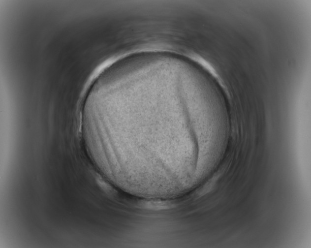 X0000085241366200703301738