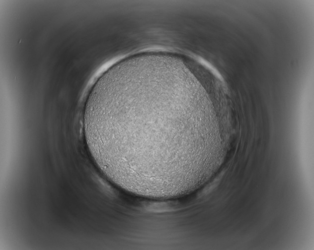 X0000085241367200703301738