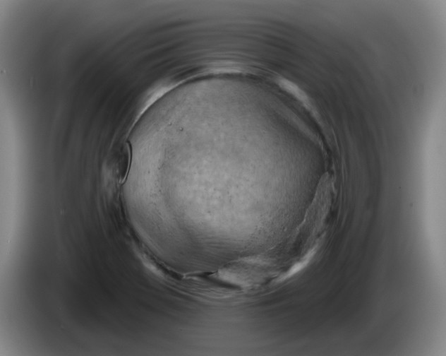 X0000085241369200703301738