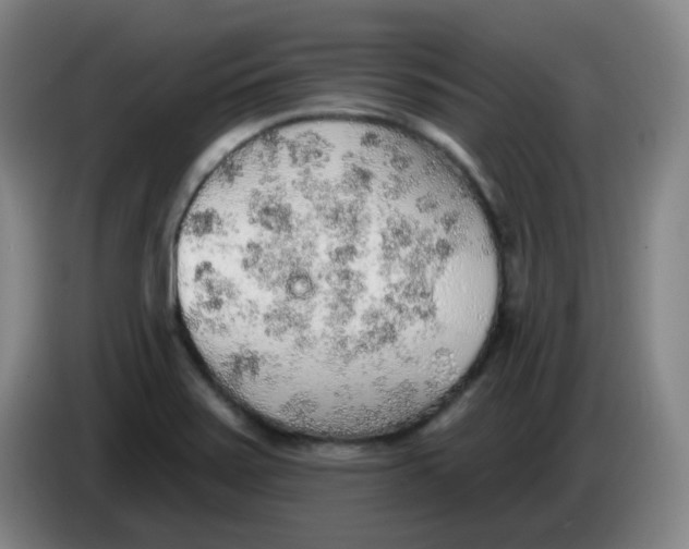 X0000085241371200703301738