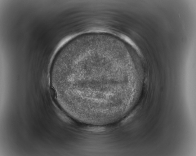 X0000085241372200703301738