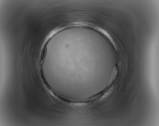 X0000085241373200703301738