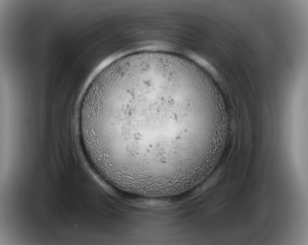X0000085241375200703301738