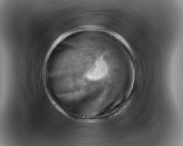 X0000085241381200703301738