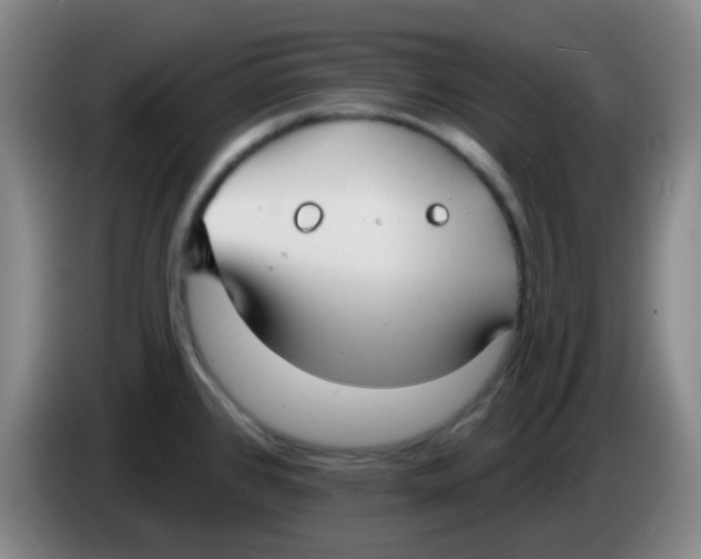 X0000085241384200703301738