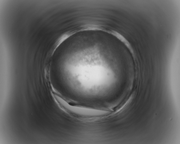 X0000085241385200703301738