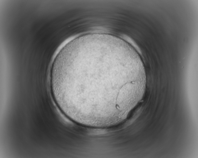 X0000085241387200703301738