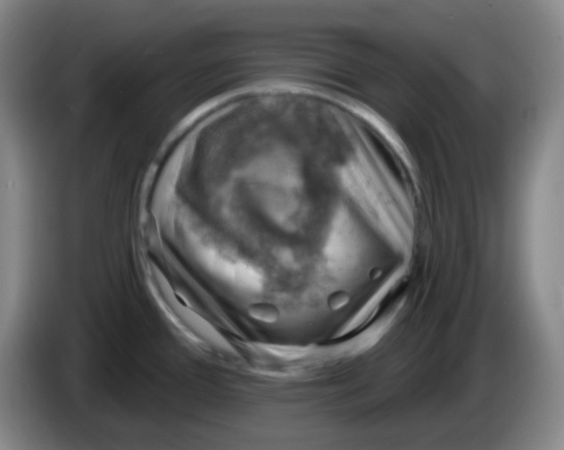 X0000085241388200703301738